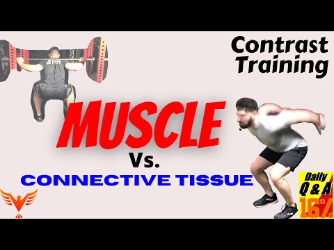 Contrast Training - Muscle vs. Connective Tissue Behavior - BillHartmanPT.com Q&A for The 16%
