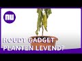 Gadget laat plant 'zeuren' om water - Prul of Praal? #58 | NU.nl