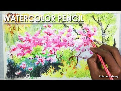 Mountains and Pine Tress Watercolor Pencil Landscape Drawing | steps to follow