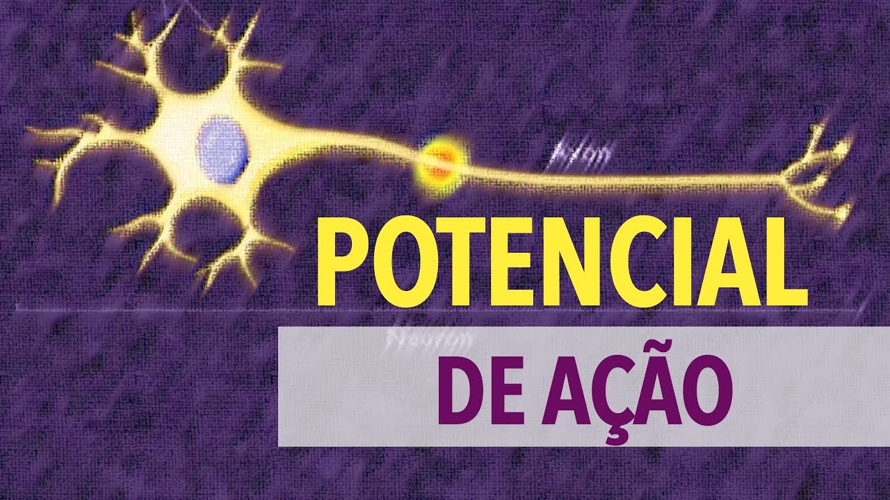 Christian Martins-12