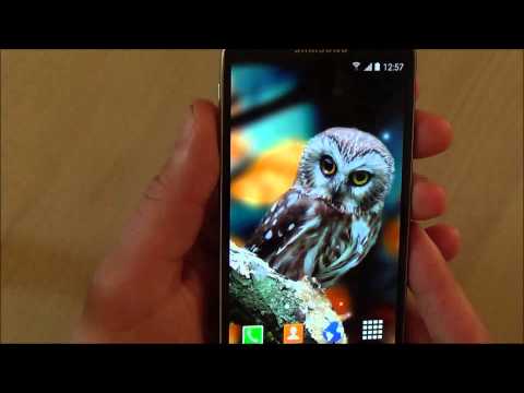 Autumn Live Wallpaper HD Video