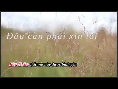 KARAOKE | Đâu Cần Phải Xin Lỗi ( Tone nam )