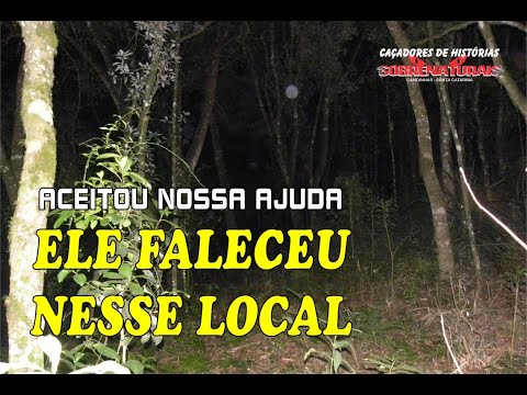 ELE FALECEU NESSA ÁRVORE - PEDIU NOSSA AJUDA PARA SAIR DO LOCAL.