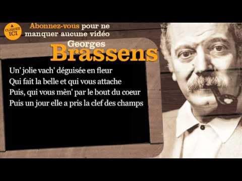 Georges Brassens - Une jolie fleur - Paroles ( Karaoké )