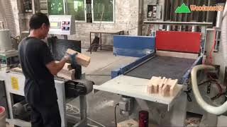 Dây chuyền phay mộng finger Servo  WOODMASTER WM-IAT620S