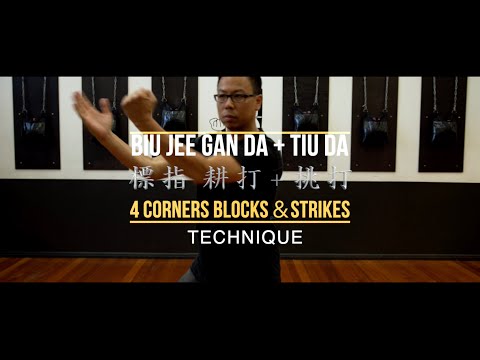 PWC Technique Mini Series |  Biu Jee Gan Da 標指耕打 + Tiu Da 挑打