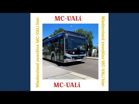 Widerstand Zwecklos MC-VALi hier (SWA Edition)