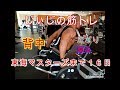 《じぃじの筋トレ》東海マスターズまで16日!新種目で背中トレ&広がりと厚みを出して鬼を育てる!!