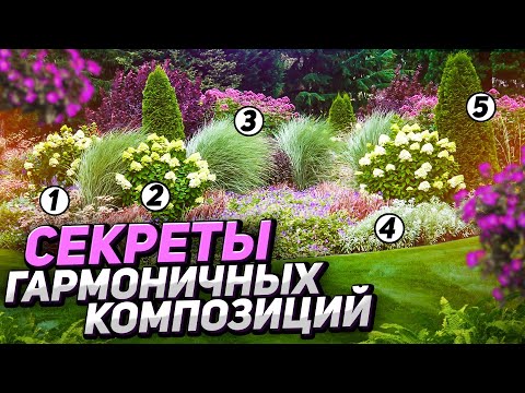 Хвойный миксбордер ????ГОТОВЫЕ схемы и фото для вдохновения в саду