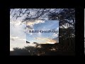 Miabi Creatives Montage
