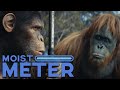 Moist Meter | Kingdom of the Planet of the Apes