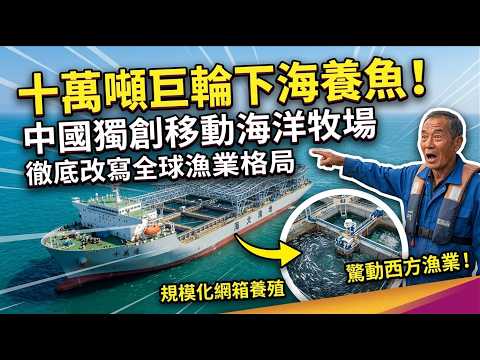 十萬噸巨輪下海養魚！中國獨創移動海洋牧場，徹底改寫全球漁業格局