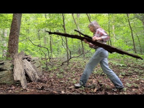 download lagu mp3 mp4 Shagbark Hickory Syrup For Sale, download lagu Shagbark Hickory Syrup For Sale gratis, unduh video klip Shagbark Hickory Syrup For Sale