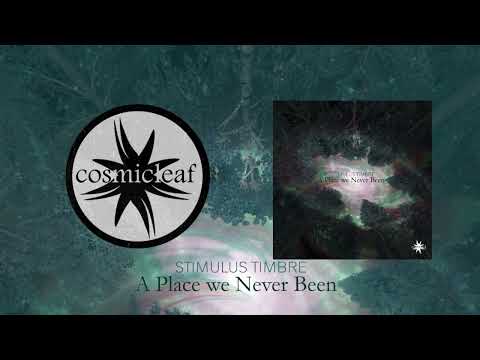 Stimulus Timbre - A Place We Never Been - 10 We reached for the Sky