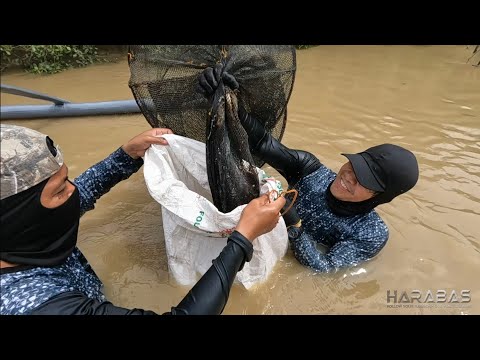 EP682-P1 - Pagpandaw ng Bokatot | Occ. Mindoro