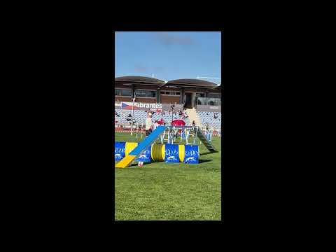 Laulava Kiana - JOAWC 2025 - agility course - Team Finland Medium