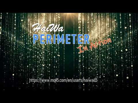 Video HaiWa Perimeter