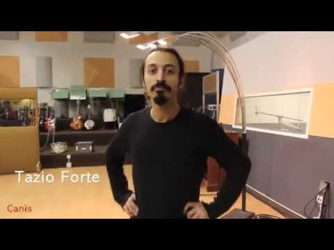 Daniele Soriani a.k.a. Canìs - Febbraio