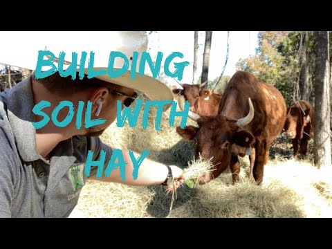 Building Soil From Junk Hay & Cows!