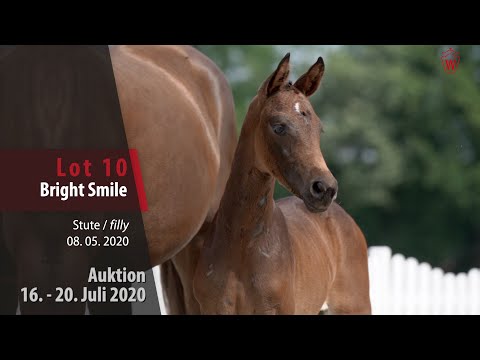 Westfälische Online Auktion 16. - 20. Juli: Lot 10 Bright Smile Stute v. Bohemian - Dresemann