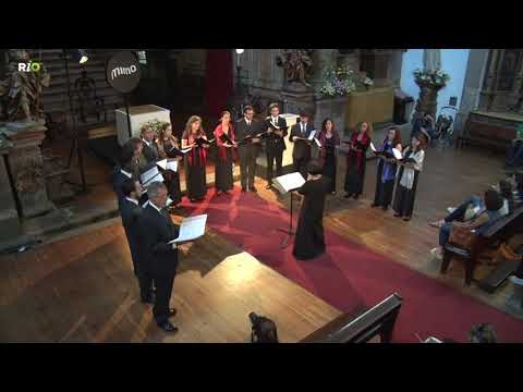 Coro de Câmara de Lisboa/Lisbon Chamber Choir - Salve Regina, Diogo Dias Melgaz