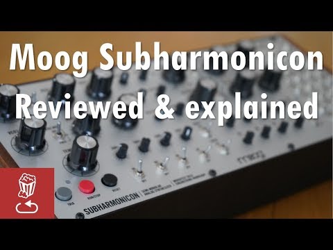 Moog Subharmonicon Reviewed and Explained