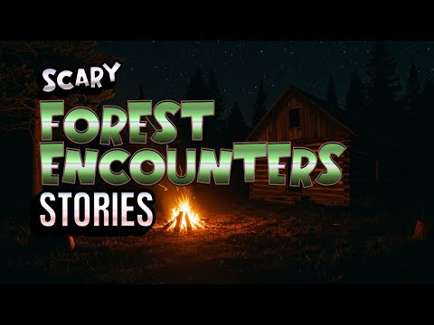 4 True Scary Forest Encounters Horror Stories: True Wilderness Nightmare Accounts Vol. 50