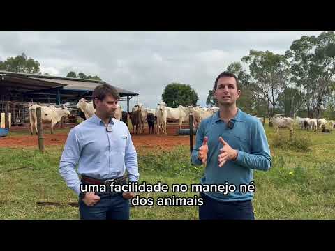 Resultados FerAppease no manejo - Fazenda Santo Antônio