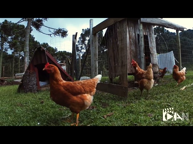 Sítio Urubici-SC | Conexão Natureza