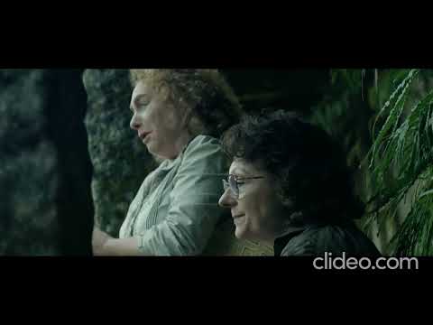 Vídeo