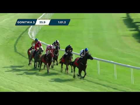 NAGRODA BIAŁKI – (KAT. A) 20.08.2023 - (Dzień 26; Gonitwa 5)