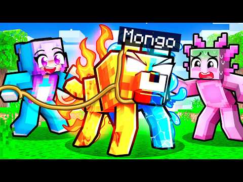 I Became an OP ELEMENTAL Dog in Minecraft…