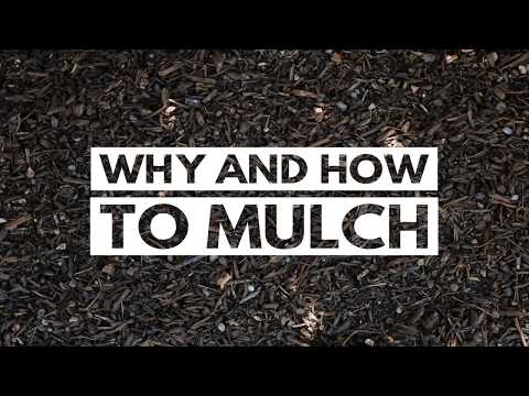 Why and How to Mulch | City of Kamloops