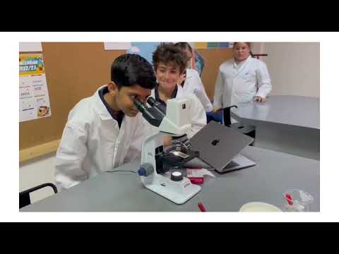 How do living cells differ from non-living cells? Find out with MYP 1