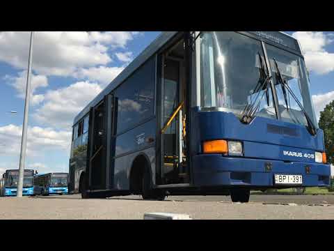 Utazás a 251-es autóbusszal Danival