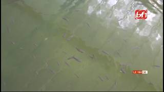 Kadiogo : Salif NIKIEMA, un entrepreneur polyvalent qui mise sur la production locale