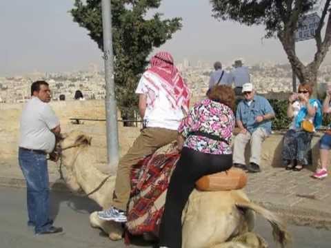 Hopkin Group Camel Ride