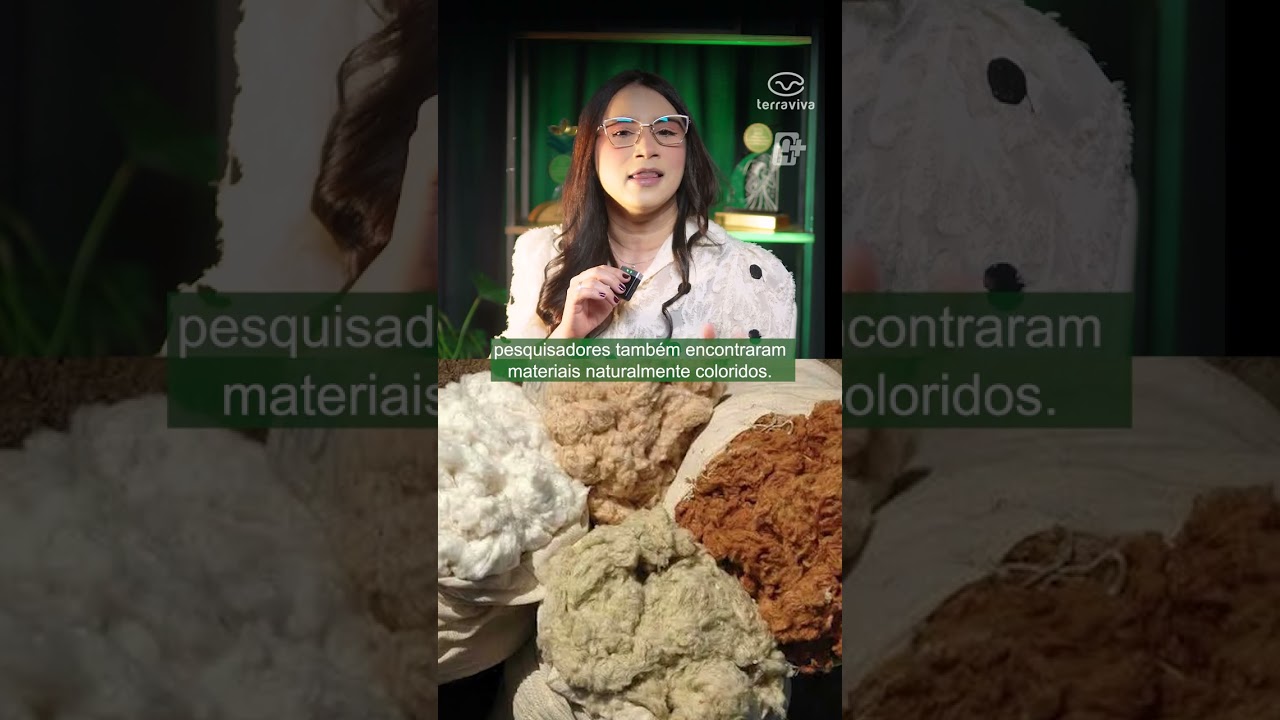 Algodão que nasce colorido. Já ouviu falar?