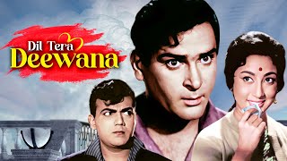 DIL TERA DEEWANA  Hindi Full Movie In Colour  Sham