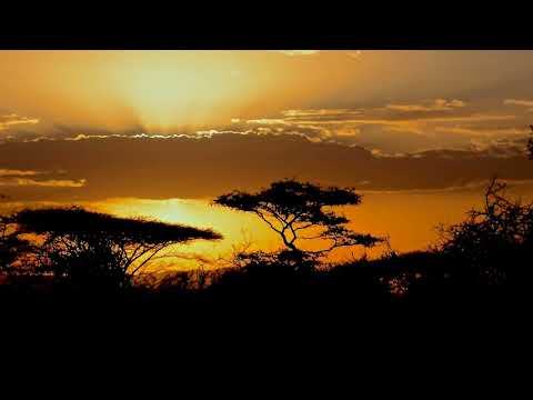 Enoo Napa, Zipho - High in Your Love