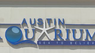 Austin Aquarium Receives Warning From USDA Regarding Animal Handling ‘Violation
