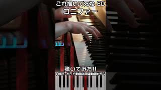 【これ描いて死ねED】ピアノで「コニファー」（中～上級）【Conifer from Draw This, Then Die!】