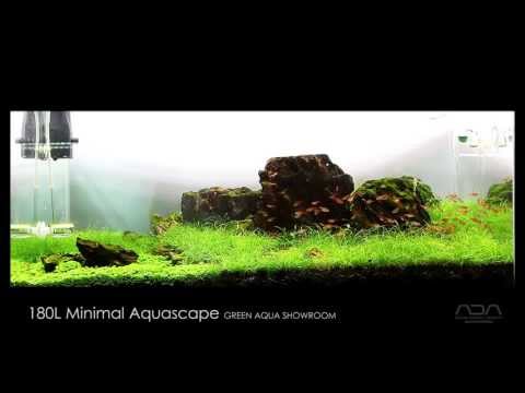 180L Minimal Aquascape - Green Aqua Showroom