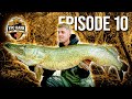 DIESER Fisch stellt ALLES in den Schatten! | YPC BANK 23 Episode 10