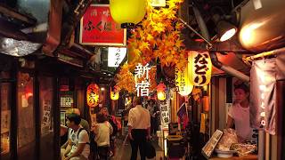 Walking around Shinjuku by night video preview