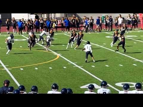 2024 Punt Snaps