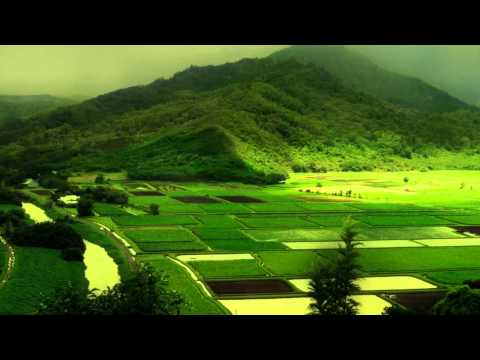 Bunte Bummler - If I`d kiss you (mybeatfix Miami exclusive)