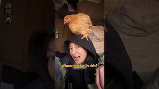 Download lagu A Bus During a Holiday in China mp3