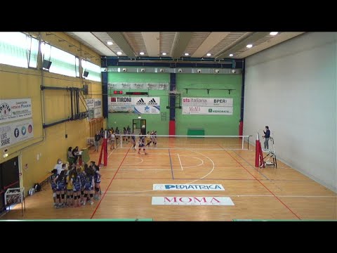 Anderlini black vs Anderlini gialla