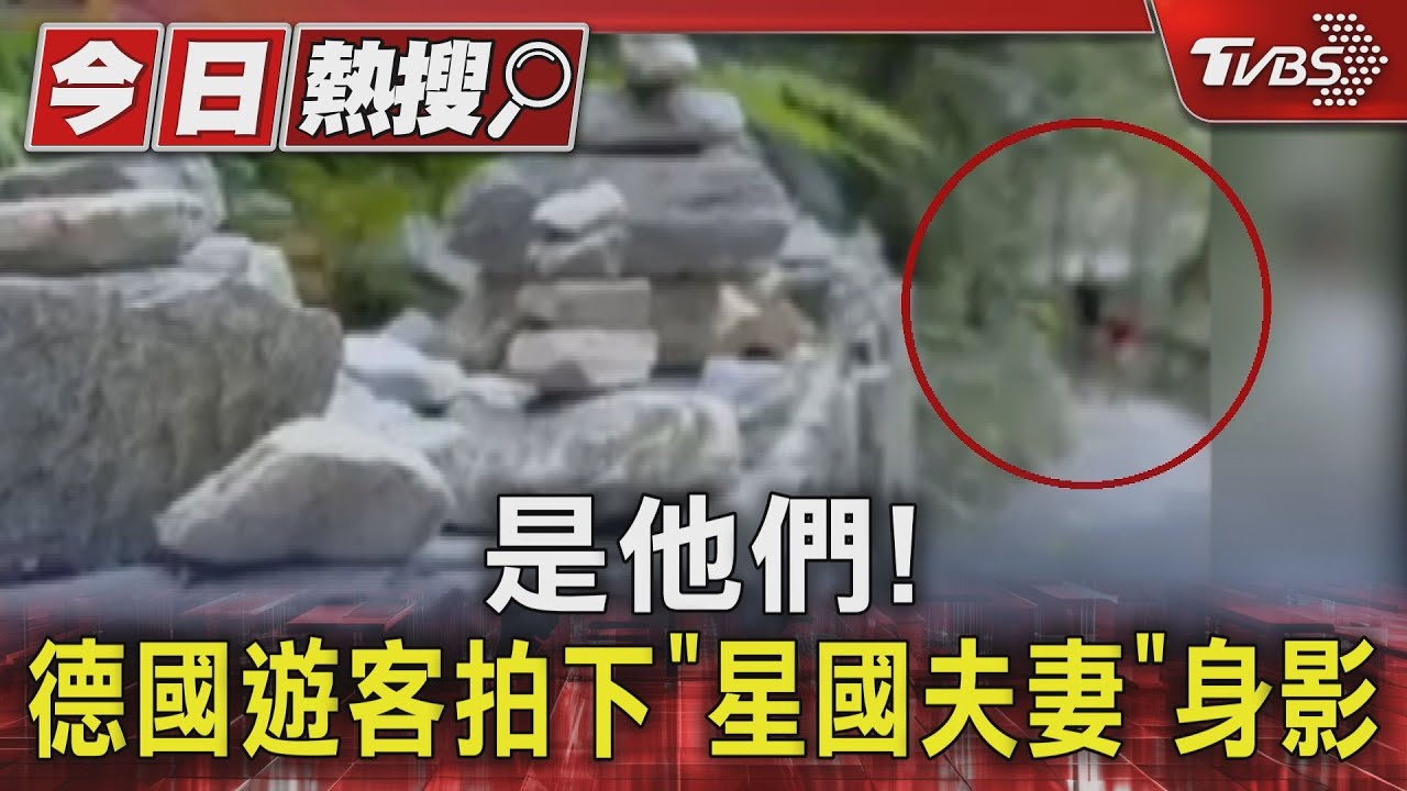 是他們! 德國遊客拍下「星國夫妻」身影